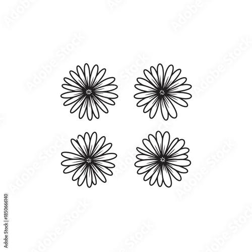 Heath Aster Vintage Style Garden Illustration Creative Line Art