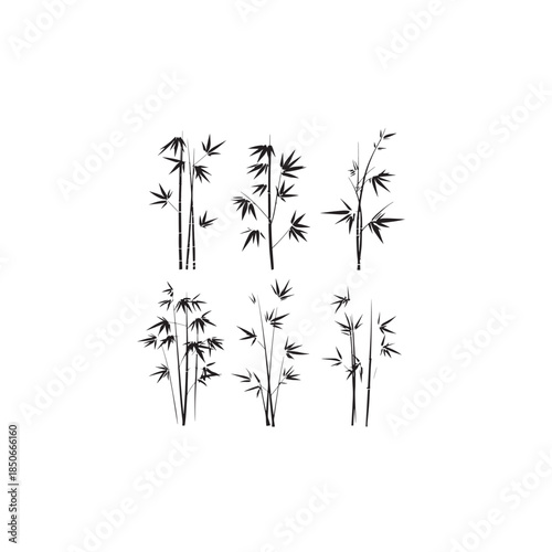 Heavenly Bamboo line art serene garden peaceful morning