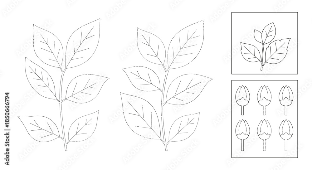 Obraz premium Educational tracing worksheet with leaf and flower bud outlines for kids to practice fine motor skills and learn about botanical elements.