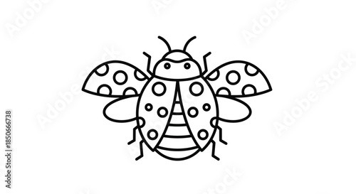 Symmetrical line drawing of a cute ladybug with its wings open and distinctive spots ideal for children educational materials and coloring.