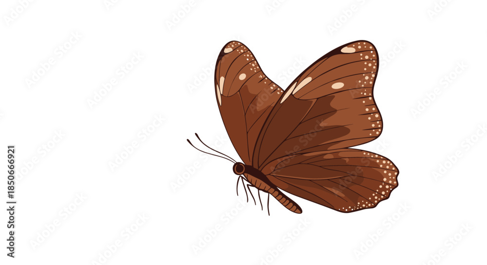 Obraz premium Beautiful illustration of a brown butterfly with delicate wing patterns and white spots, isolated on a white background.