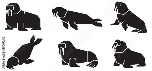 Set of six stylized black walrus icons in different poses, isolated on a white background.