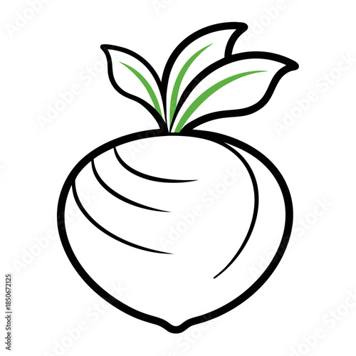 kohlrabi  with leaves