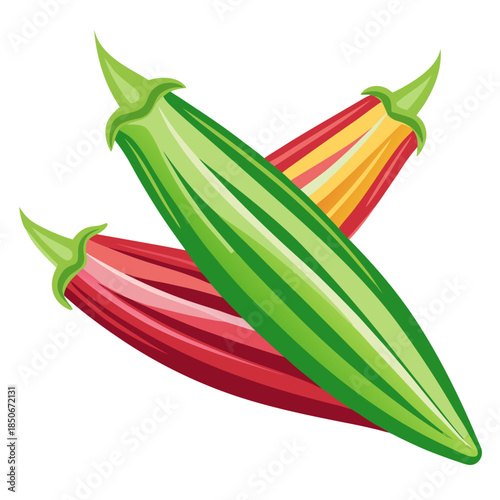 okra vector