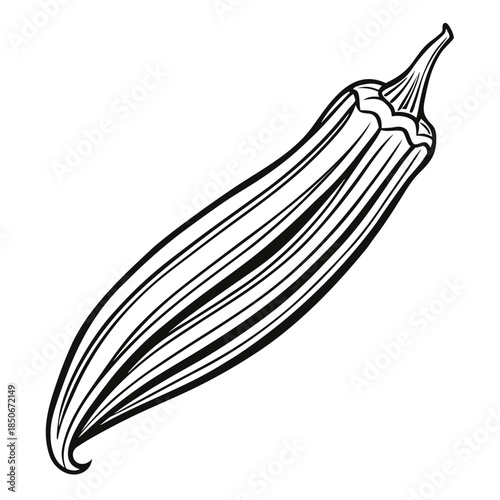 okra vector