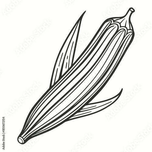 okra vector