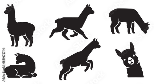 Collection of six black silhouette illustrations of llamas in various poses on a white background.