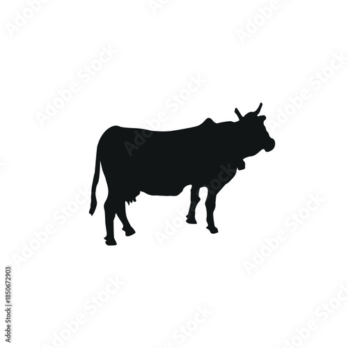 Cow silhouette isolated on white background