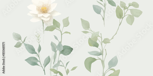 Minimal Elegant Watercolor Flower Clipart Set Transparent Background