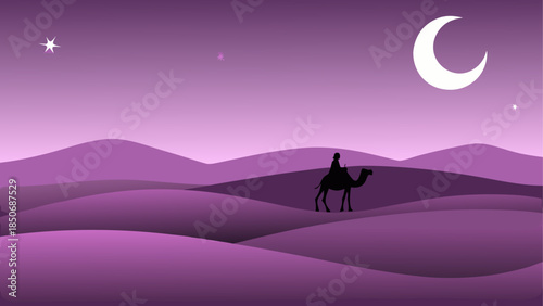 Desert night journey