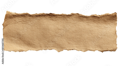 Wallpaper Mural Fragment of Ripped Brown Cardboard Paper with Rough Edges on Transparent Background, PNG Torontodigital.ca