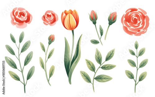 Spring orange tulip bloom with buds and foliage, natural hand-painted watercolor elements.