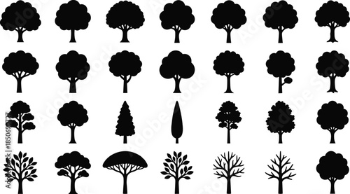 Tree silhouettes, diverse foliage, branching patterns, coniferous forms, leafless trees, forest design, botanical art, nature vector, CAD drawing flat illustration