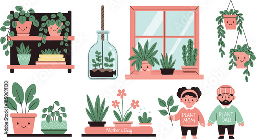 Whimsical indoor plant collection