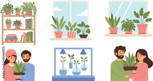 Indoor plant care and decoration
