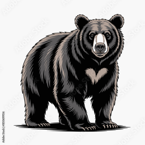 A striking illustration of a powerful bear, showcasing its formidable physique and distinctive black fur. This image embodies strength and beauty in nature's wilderness.
