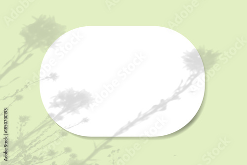 Wallpaper Mural Natural light casts shadows from wildflowers on an oval sheet of white paper lying on a horizontal green background. Mockup Torontodigital.ca