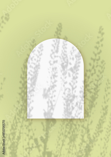 Wallpaper Mural Natural light casts shadows from wild grass on an arch-shaped sheet of white paper lying on a vertical green background. Mockup Torontodigital.ca