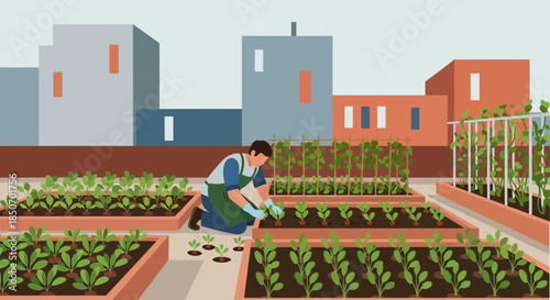 Rooftop farming illustration: A man tends to his urban garden with building backdrop showing