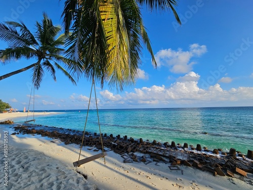 palm trees on the beach in lakshadweep, india