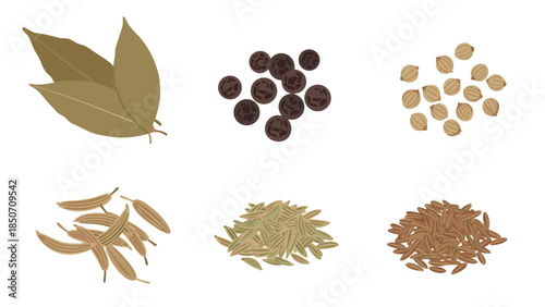 An essential collection of diverse dried culinary spices and aromatic herbs, isolated flat vector ingredients for cooking and flavor enhancement
