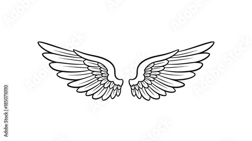A simple black and white illustration of a pair of feathered wings