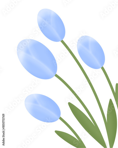 Blue tulip flower vector illustration