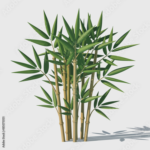 A stunning visual of healthy bamboo stalks, showcasing nature's resilience and beauty, highlighting the importance of sustainable practices and green living.