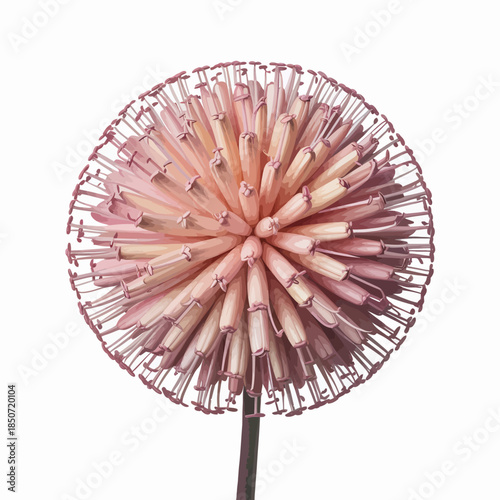 This stunning image showcases a vibrant hyacinth flower with delicate petals, symbolizing beauty and elegance, evoking emotions of serenity and wellness in nature lovers.