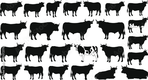 Cow silhouette collection with various poses, farm cattle illustration set, livestock animal graphics, standing and sitting cow vector bundle for design