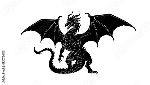 Fantasy dragon silhouette with spread wings and sharp claws, iconic mythological creature illustration.