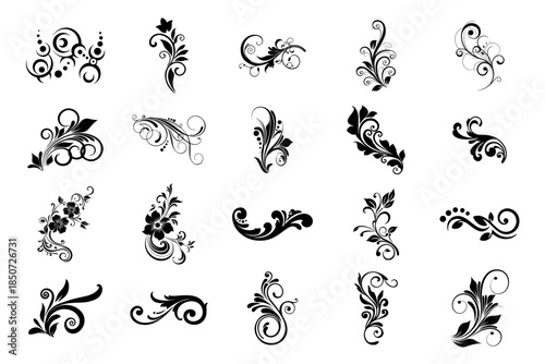 Elegant collection of black floral scroll patterns and decorative vine elements