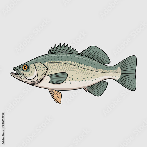 A beautifully detailed illustration of a largemouth bass fish, highlighting its unique features and colors, emphasizing the beauty of aquatic life and nature's diversity.