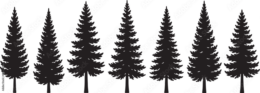 Obraz premium A row of stylized black pine trees with detailed branches and conical shapes against a white background representing a forest silhouette also transparent background
