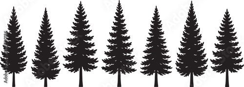 A row of stylized black pine trees with detailed branches and conical shapes against a white background representing a forest silhouette also transparent background