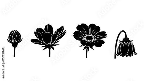 Black Flower Bush Silhouette Vector Set Showing Bud Partial Full Bloom Wilted Growth Stages