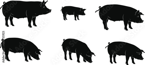 Pig silhouette vector set, farm animal illustration, black pig shapes, livestock graphic, standing pig, eating pig, cad drawing flat vector illustration