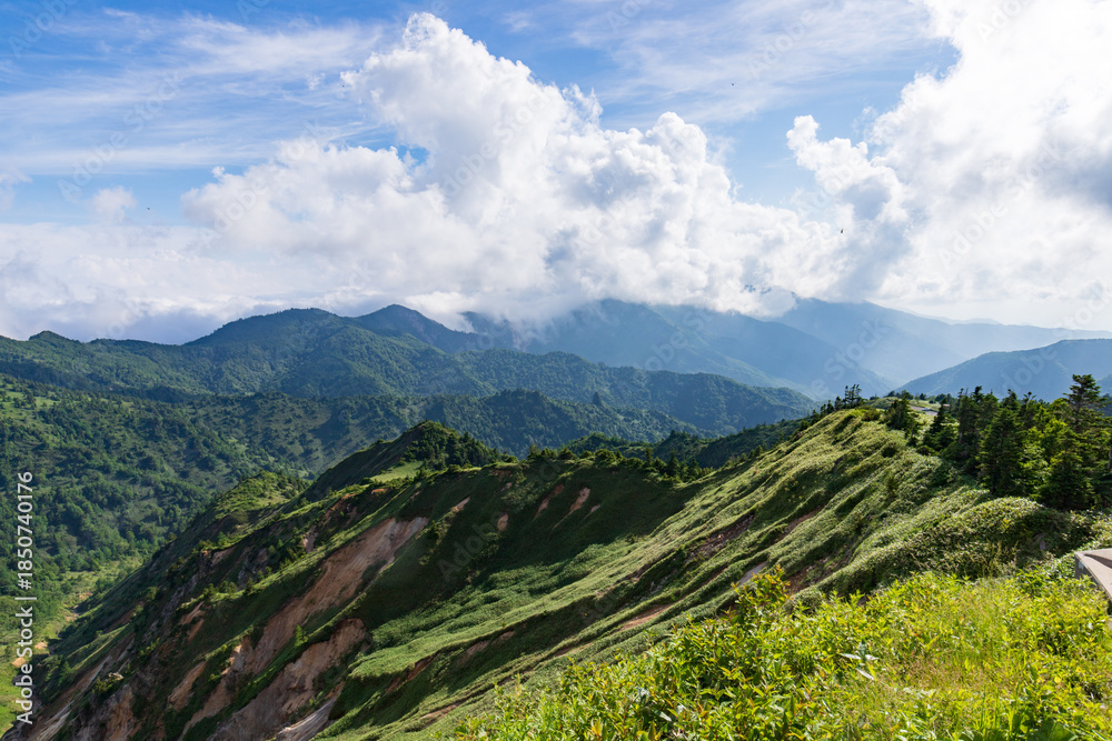 Fototapeta premium Panoramic Summer Landscape of Shiga Kogen Highlands with Lush Alpine Forests, Japan