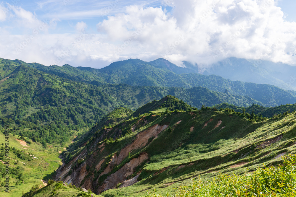 custom made wallpaper toronto digitalPanoramic Summer Landscape of Shiga Kogen Highlands with Lush Alpine Forests, Japan