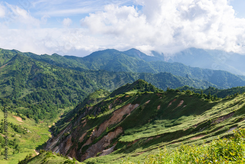 Wallpaper Mural Panoramic Summer Landscape of Shiga Kogen Highlands with Lush Alpine Forests, Japan Torontodigital.ca