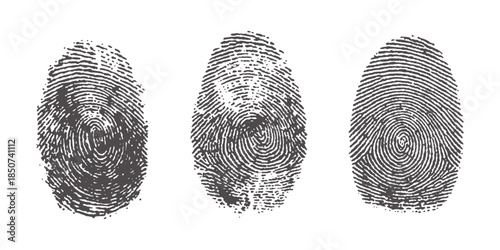 Three detailed fingerprint patterns on a white background