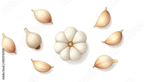 set of garlic