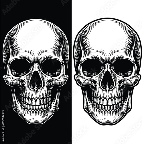 Two detailed skull illustrations one on black and one on white background death danger