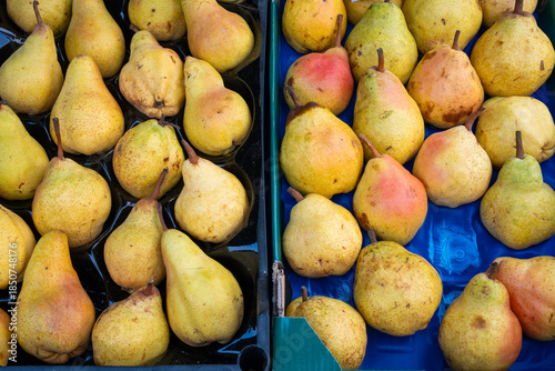 A plastic crate at a market filled with various types of pears. Fresh fruit produce captured in close-up detail.

