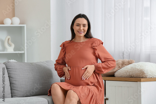 Beautiful young pregnant wo...
