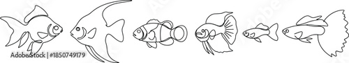 Fish species line drawing