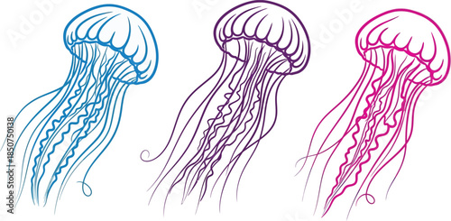 Three jellyfish outlines
