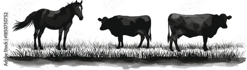 Horse and cow silhouettes, black and white, farm animals, realistic shading, pasture scene, livestock illustration, agriculture, vector, rural, nature