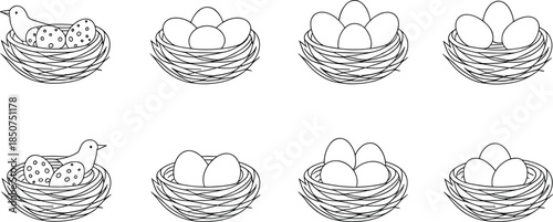 Bird Nest with Eggs and Bird black and white line nature