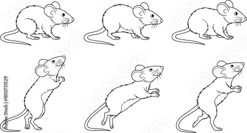 Five black and white mice in different poses line different poses